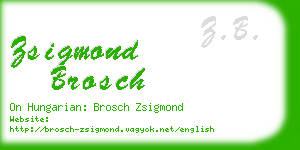 zsigmond brosch business card